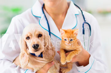 Veterinária e saúde animal